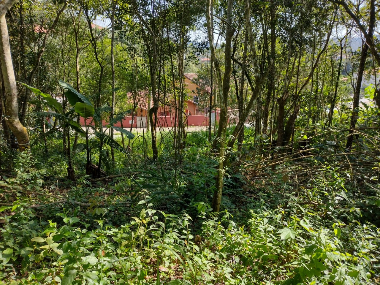 WhatsApp Image 2021-07-06 at 20.34.41 (2).jpeg