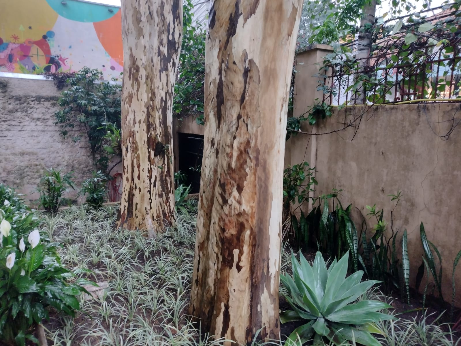 WhatsApp Image 2022-10-03 at 09.13.46.jpeg